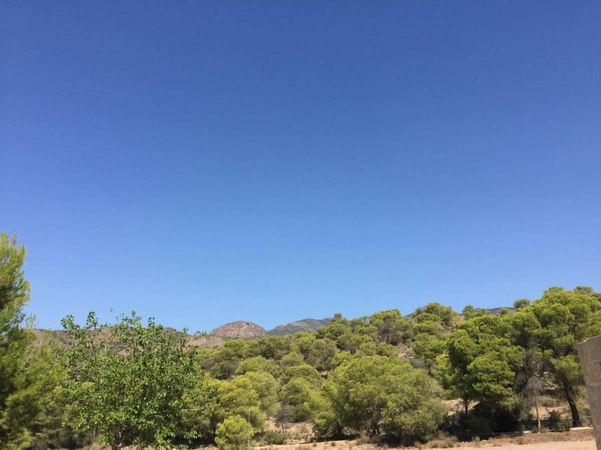 Huerto Espuna Тотана Экстерьер фото